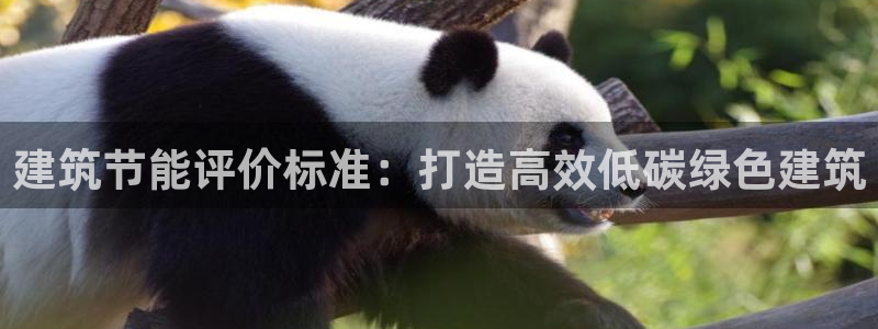 e尊国际-可可计划：建筑节能评价标准：打造高效低碳绿色建筑