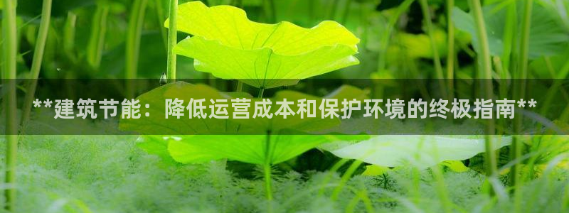 e尊国际网址：**建筑节能：降低运营成本和保护环境的终极指南**