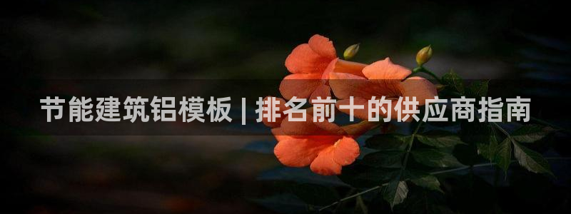 e尊国际app：节能建筑铝模板 | 排名前十的供应商指南