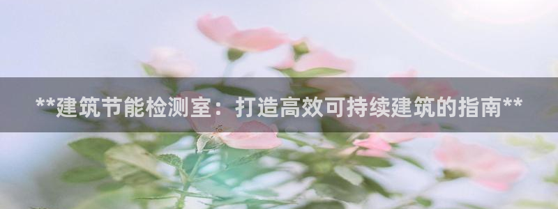 e尊国际7779：**建筑节能检测室：打造高效可持续建筑的指南**