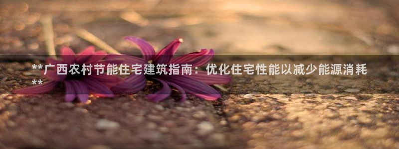 e尊国际官方网站：**广西农村节能住宅建筑指南：优化住宅性能以减少能源消耗
**