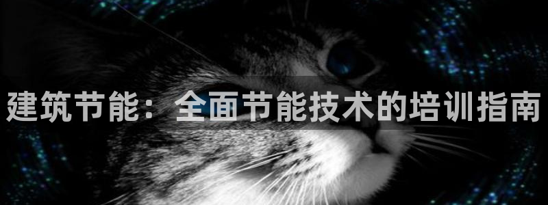 E尊国际网站：建筑节能：全面节能技术的培训指南
