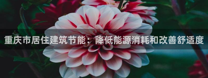 e尊国际7779：重庆市居住建筑节能：降低能源消耗和改善舒适度