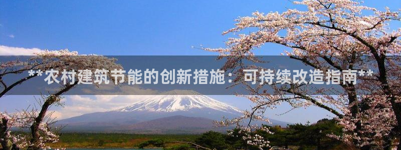 e尊电竞：**农村建筑节能的创新措施：可持续改造指南**