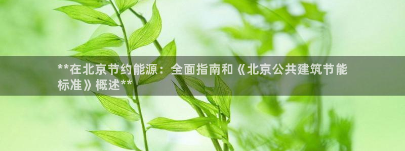 e尊国际可靠吗：**在北京节约能源：全面指南和《北京公共建筑节能
标准》概述**