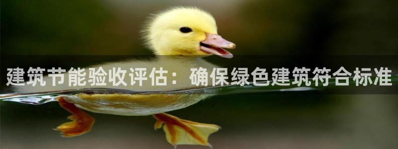 e尊国际官网·网址：建筑节能验收评估：确保绿色建筑符合标准