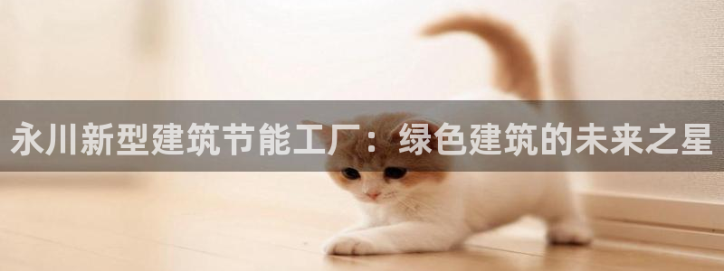 e尊国际-e尊国际官网：永川新型建筑节能工厂：绿色建筑的未来之星