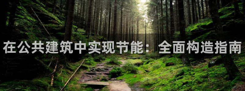 e尊国际平台：在公共建筑中实现节能：全面构造指南