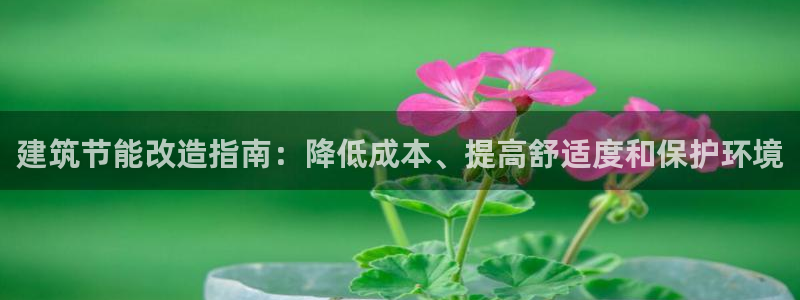 e尊国际官网：建筑节能改造指南：降低成本、提高舒适度和保护环境