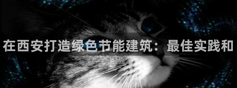 e尊国际是个黑网