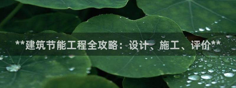 e尊国际-e尊国际官网：**建筑节能工程全攻略：设计、施工、评价**