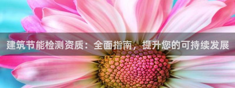 e尊电竞：建筑节能检测资质：全面指南，提升您的可持续发展