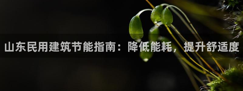 e尊国际客户端：山东民用建筑节能指南：降低能耗，提升舒适度