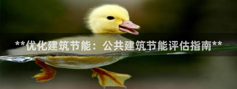 e尊国际客户端下载：**优化建筑节能：公共建筑节能评估指南**