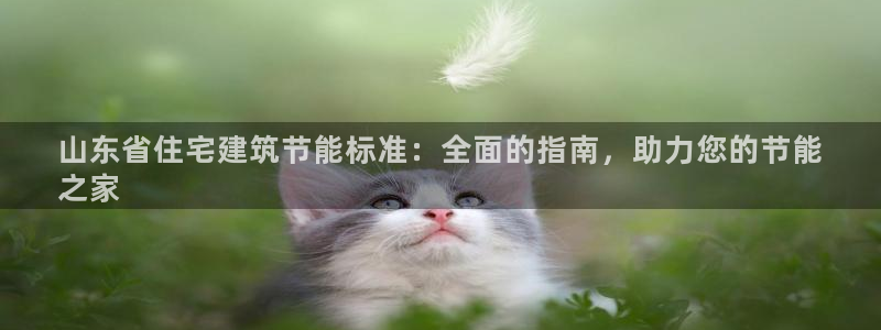 e尊国际客服：山东省住宅建筑节能标准：全面的指南，助力您的节能
之家