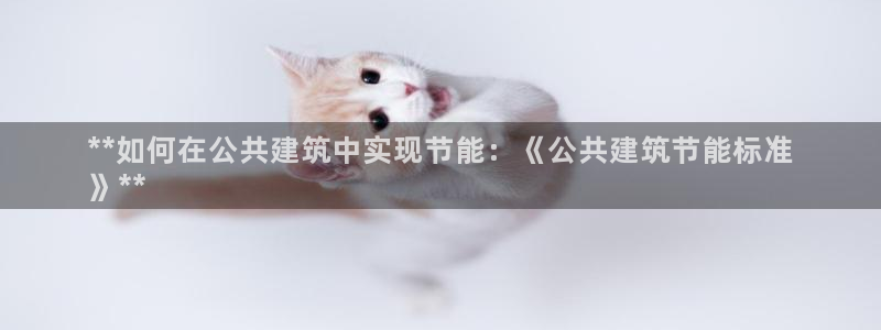 e尊国际客户端：**如何在公共建筑中实现节能：《公共建筑节能标准
》**