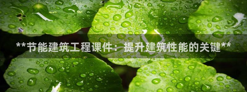 e尊国际平台：**节能建筑工程课件：提升建筑性能的关键**