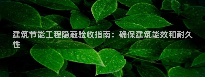 e尊平台：建筑节能工程隐蔽验收指南：确保建筑能效和耐久
性