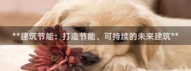 e尊官网：**建筑节能：打造节能、可持续的未来建筑**