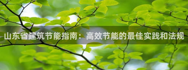 e尊国际官方网站：山东省建筑节能指南：高效节能的最佳实践和法规