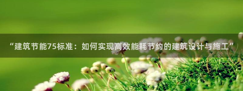 e尊国际7779：“建筑节能75标准：如何实现高效能耗节约的建筑设计与施工”