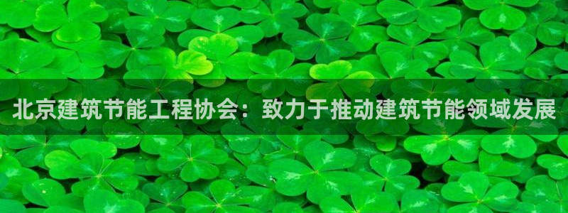 e尊国际可靠吗：北京建筑节能工程协会：致力于推动建筑节能领域发展