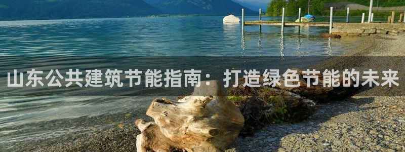 e尊国际客户端下载：山东公共建筑节能指南：打造绿色节能的未来