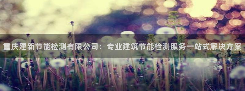 e尊国际官网app：重庆建新节能检测有限公司：专业建筑节能检测服务一站式解决方案