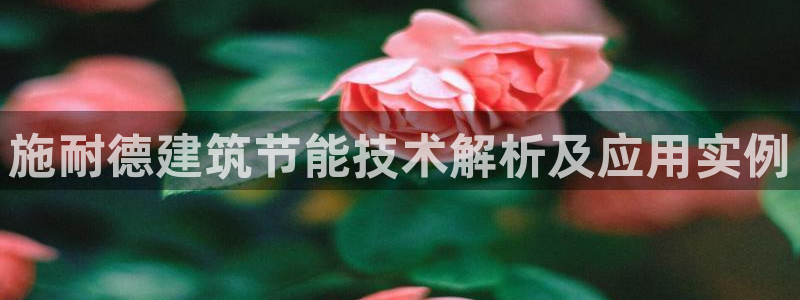 E尊国际网站：施耐德建筑节能技术解析及应用实例