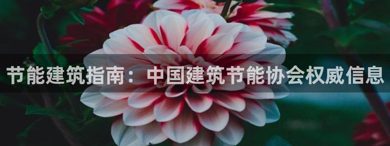 e尊国际是个黑网：节能建筑指南：中国建筑节能协会权威信息