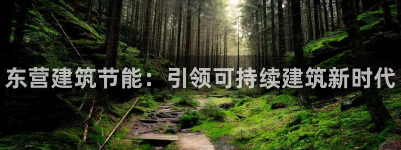 e尊官网：东营建筑节能：引领可持续建筑新时代