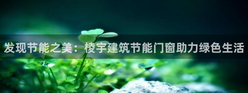 e尊国际客户端：发现节能之美：棱宇建筑节能门窗助力绿色生活