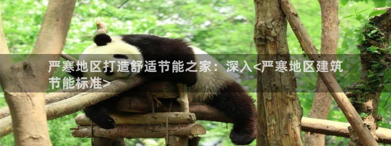 e尊国际客户端下载：严寒地区打造舒适节能之家：深入<严寒地区建筑
节能标准>