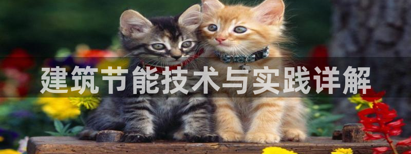 e尊国际可靠吗：建筑节能技术与实践详解