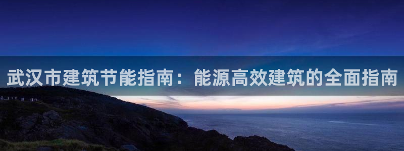 e尊国际平台：武汉市建筑节能指南：能源高效建筑的全面指南
