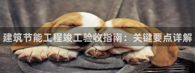 e尊国际官方网站：建筑节能工程竣工验收指南：关键要点详解
