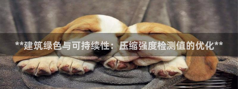 e尊国际官方网站：**建筑绿色与可持续性：压缩强度检测值的优化**