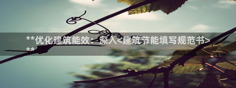 e尊国际app：**优化建筑能效：深入<建筑节能填写规范书>
**