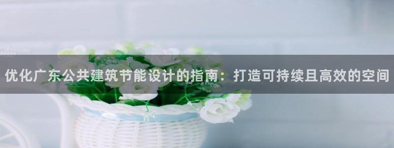 e尊国际平台：优化广东公共建筑节能设计的指南：打造可持续且高效的空间