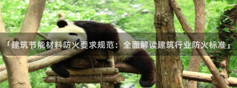 e尊国际网址：「建筑节能材料防火要求规范：全面解读建筑行业防火标准」