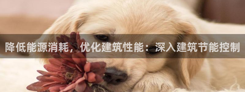 e尊电竞：降低能源消耗，优化建筑性能：深入建筑节能控制