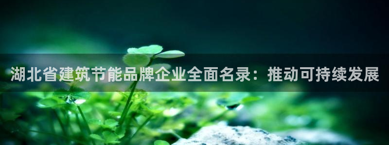 e尊国际地址：湖北省建筑节能品牌企业全面名录：推动可持续发展