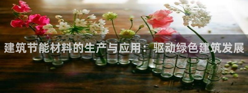 e尊国际官方网站：建筑节能材料的生产与应用：驱动绿色建筑发展