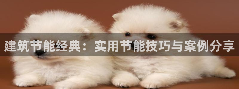 e尊国际地址：建筑节能经典：实用节能技巧与案例分享