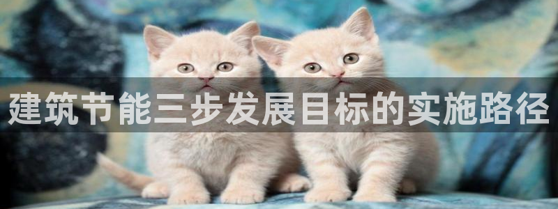 e尊国际-e尊国际官网：建筑节能三步发展目标的实施路径