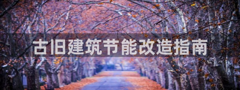 e尊国际的手机登录网站：古旧建筑节能改造指南