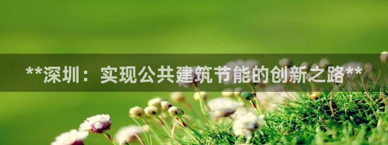 E尊国际网站：**深圳：实现公共建筑节能的创新之路**
