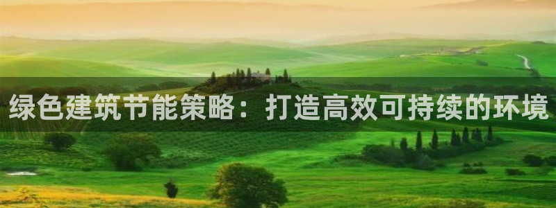 谁知道e尊国际的网址：绿色建筑节能策略：打造高效可持续的环境