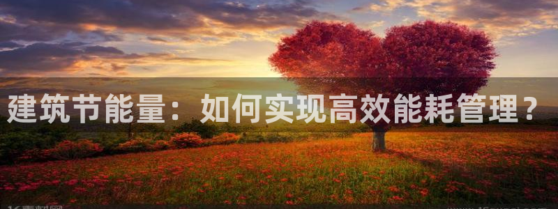 E尊国际网站：建筑节能量：如何实现高效能耗管理？