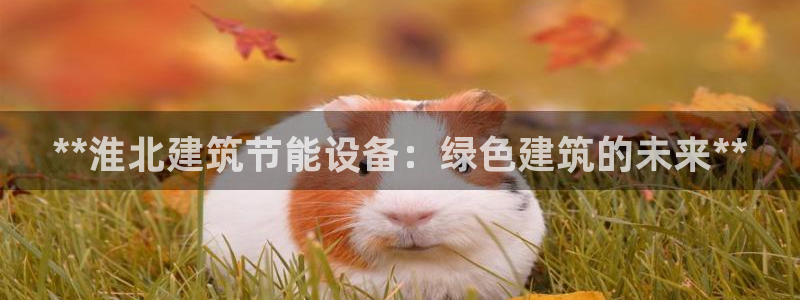 e尊电竞：**淮北建筑节能设备：绿色建筑的未来**